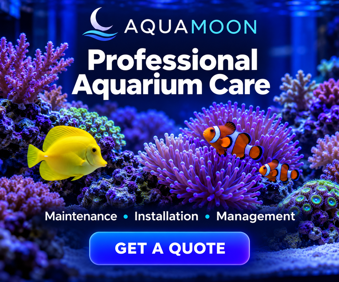 AquaMoon - Professional Aquarium Care. Maintenance, Installation, Management. Get a Quote.