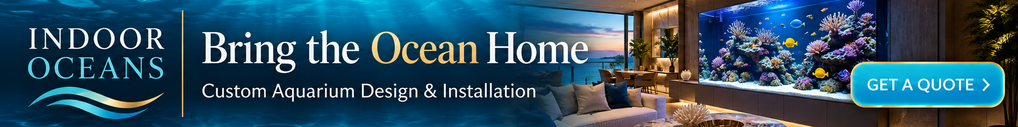 Indoor Oceans - Bring the Ocean Home. Custom Aquarium Design & Installation. Get a Quote.