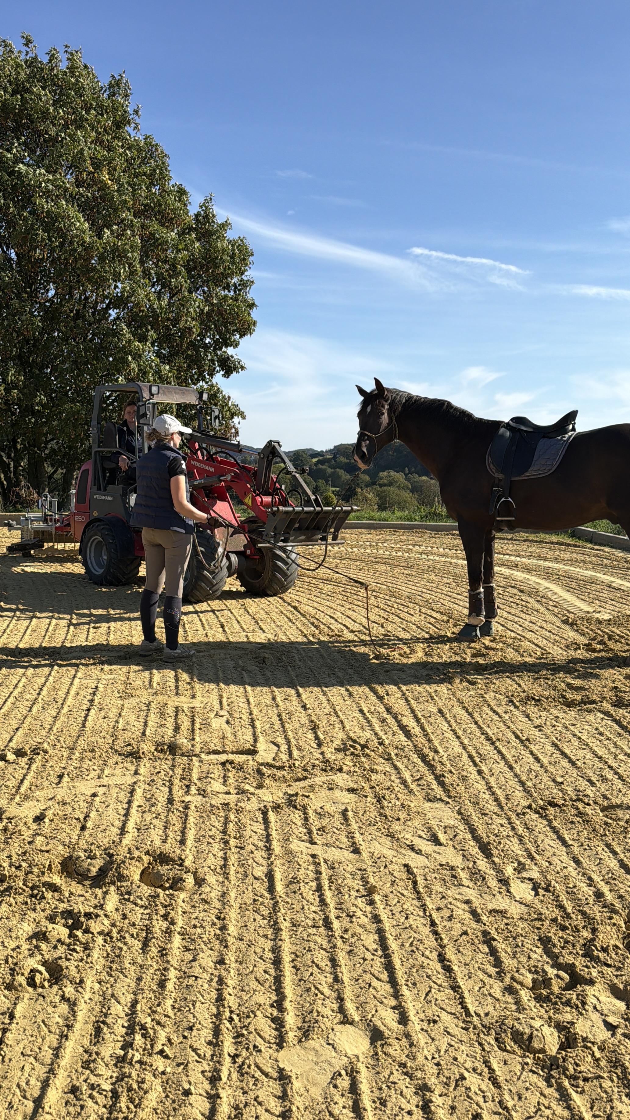 Caro mit ihrem Pferd beim Training