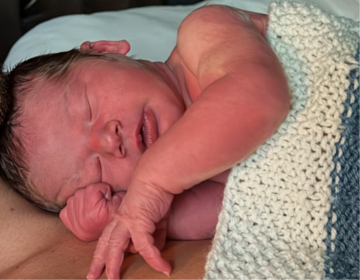 Newest addition to the Twisted Roots Collective family, born October 2026