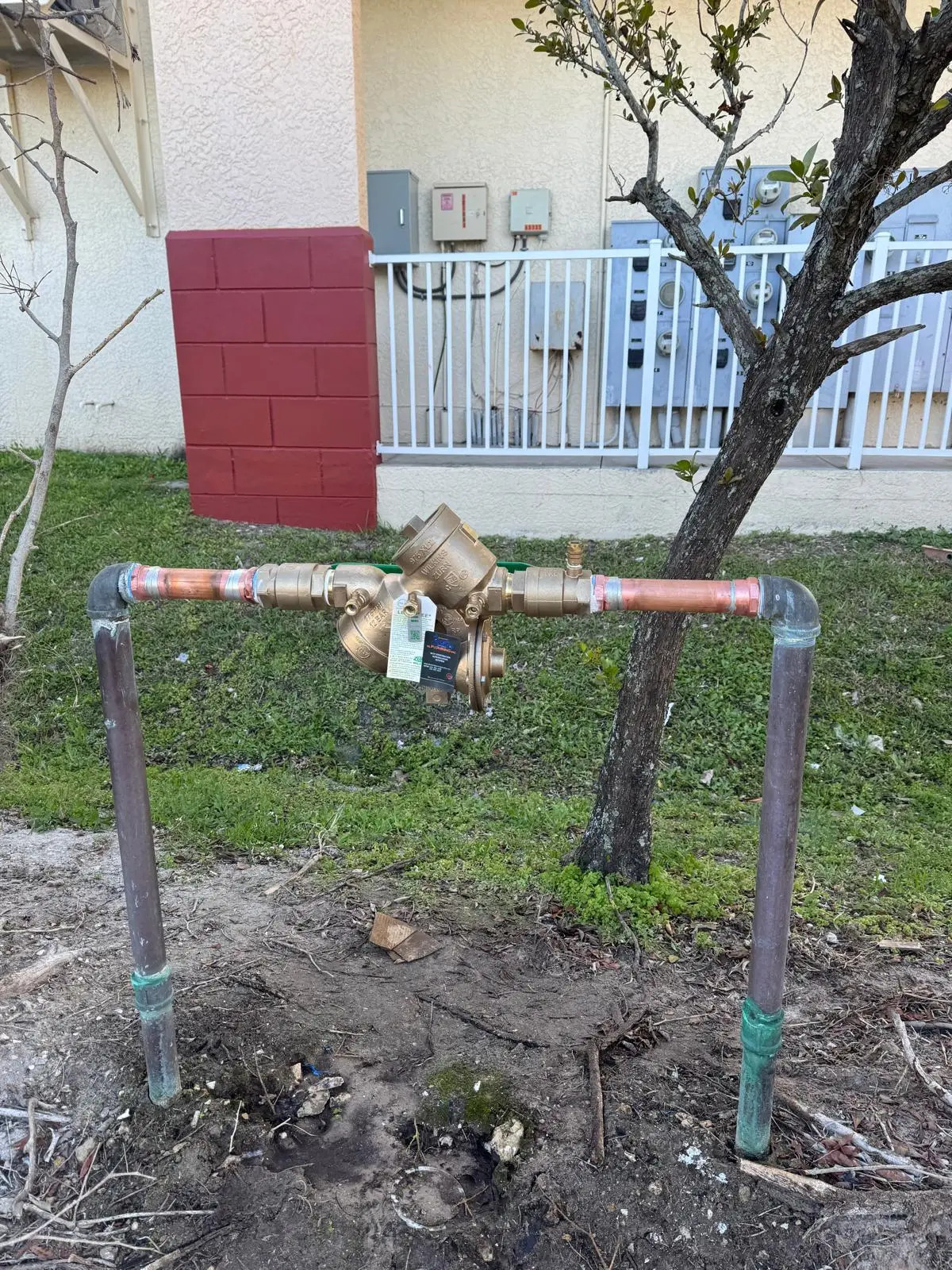 Installed backflow prevention assembly with vertical copper risers photographed by Shaddai HL Plumbing