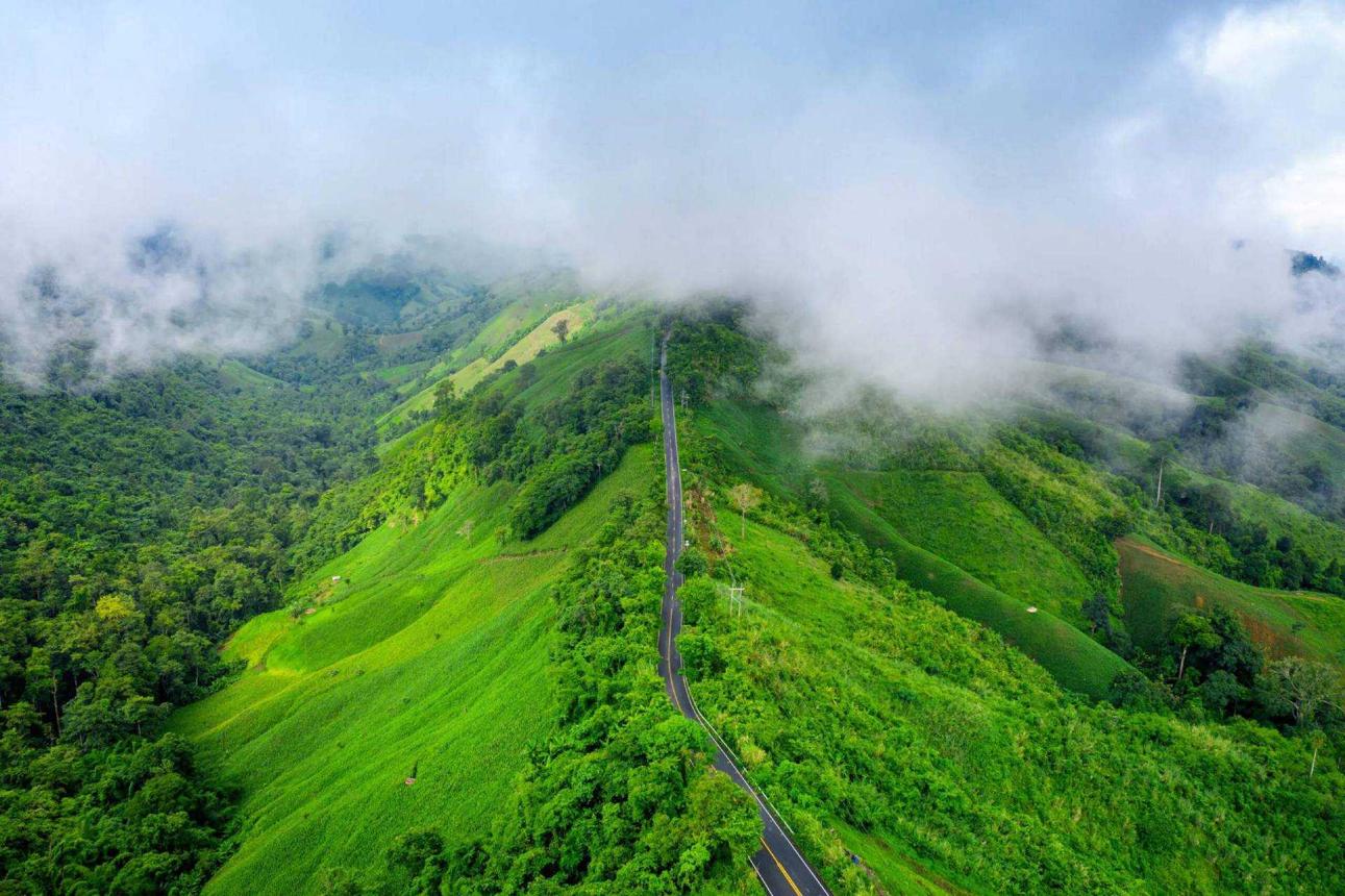 Coffee plantation homestay in the Chikmagalur hills, Karnataka