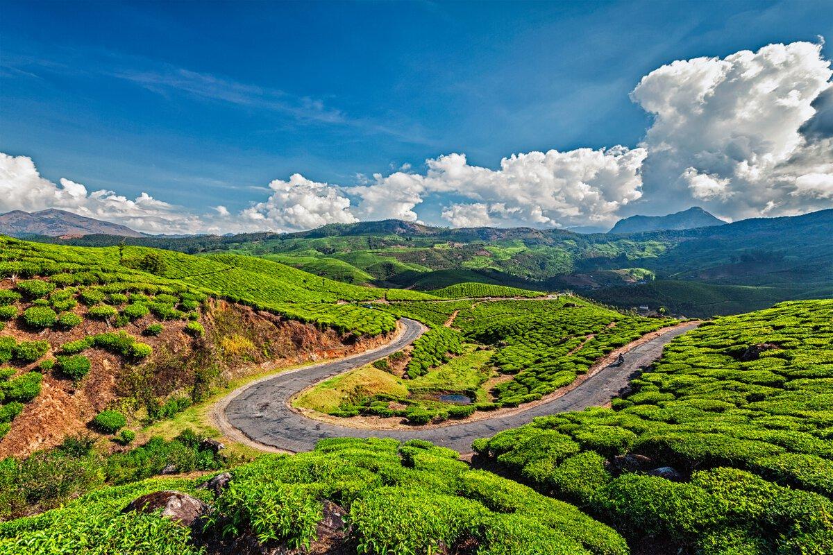 Scenic winding road through the Nilgiri hills near Coonoor, Tamil Nadu
