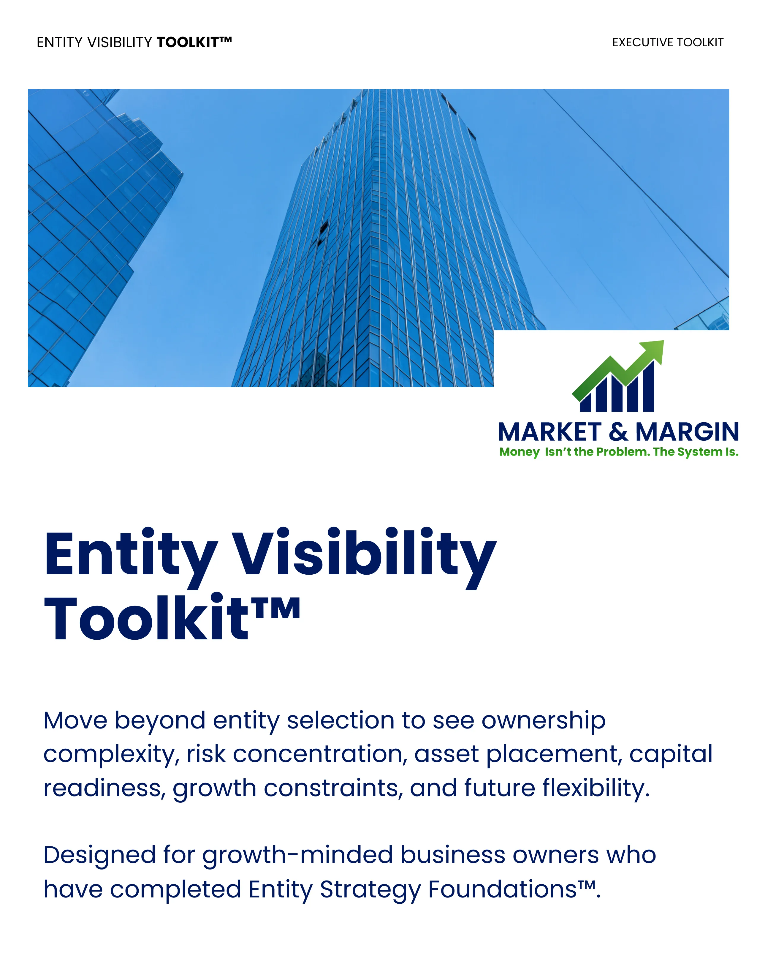 Entity Visibility Toolkit™ — Executive Toolkit for Course 3A