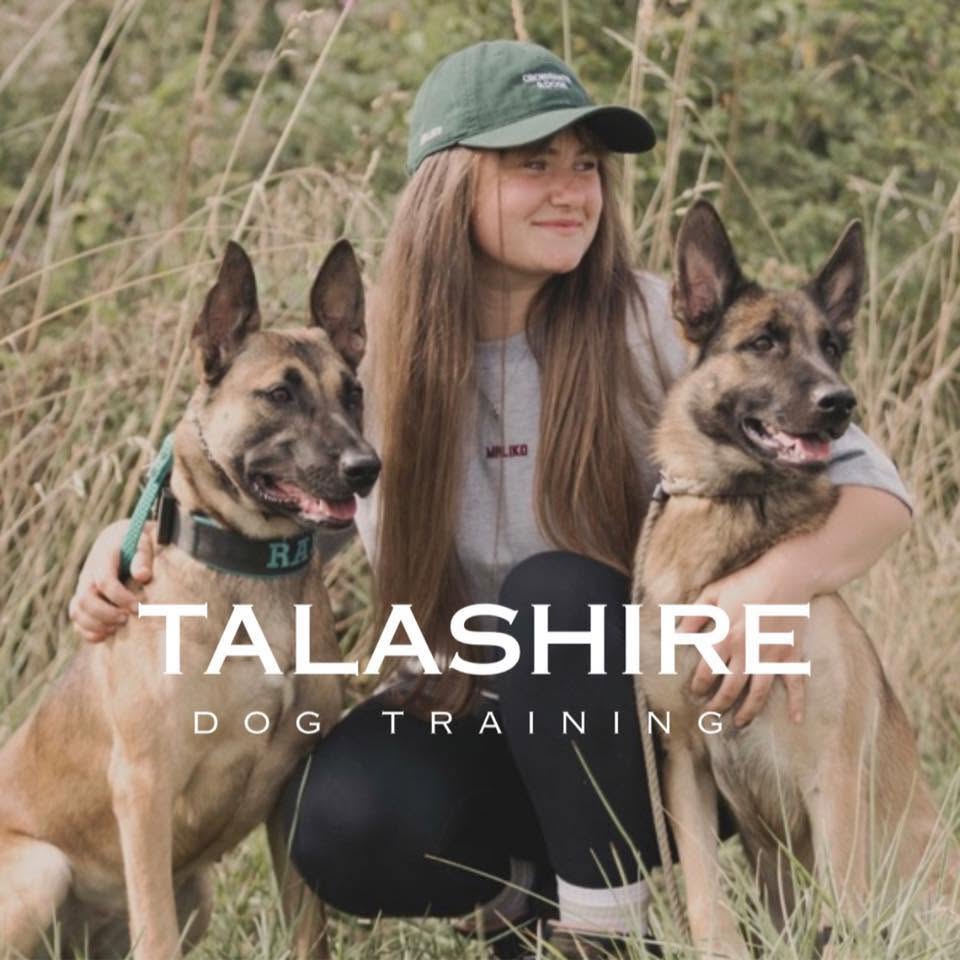 Talashire Dog Training logo
