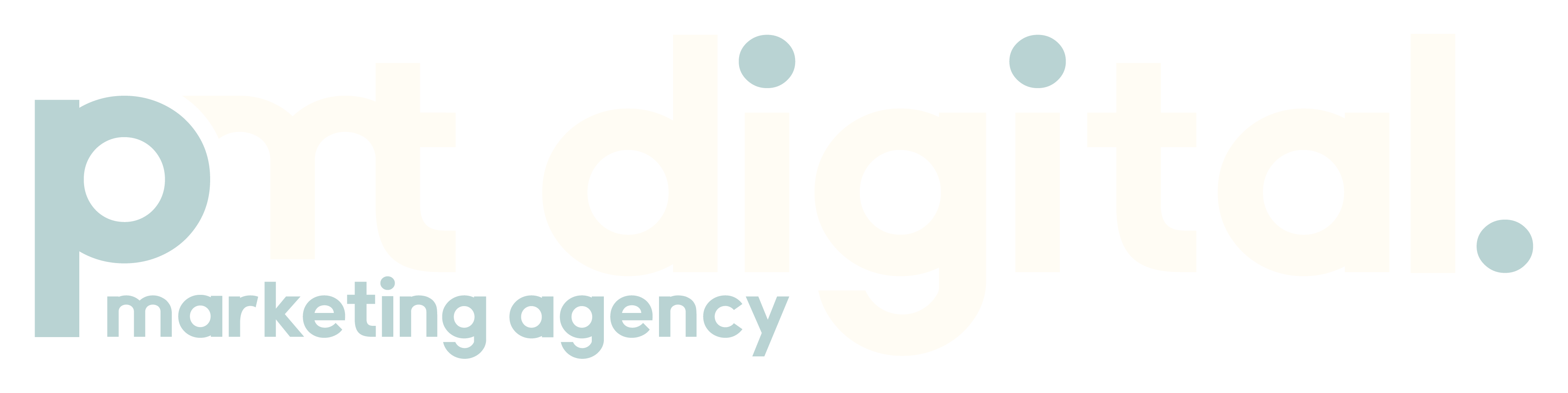 pmt digital. marketing agency