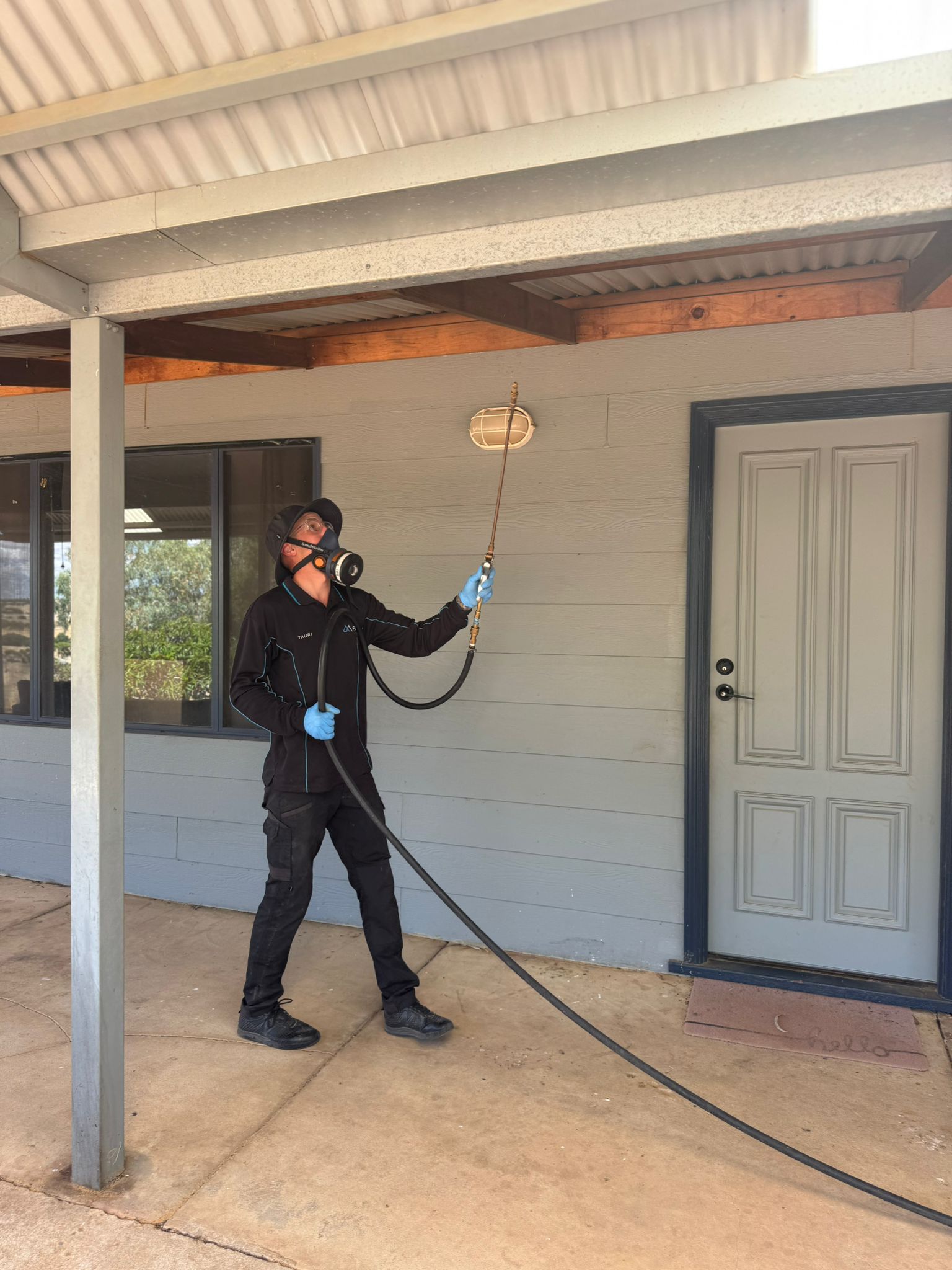 Termite Control & Inspections Perth and the Wheatbelt