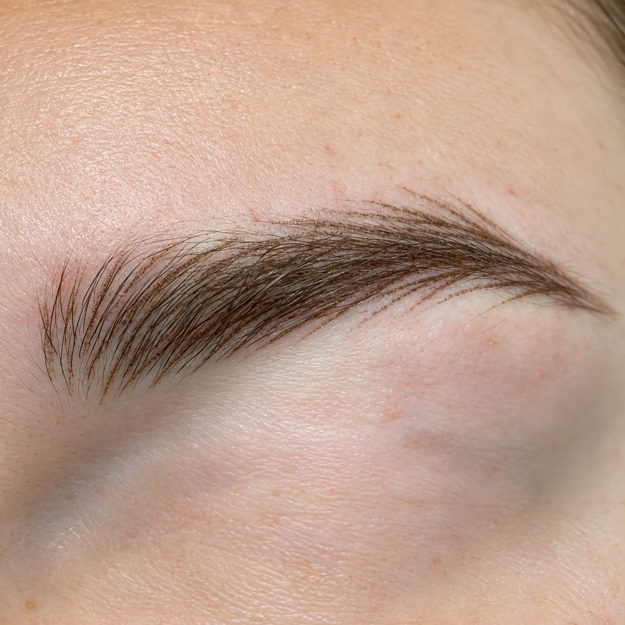 Signature realistic hairstroke brows permanent makeup healed result