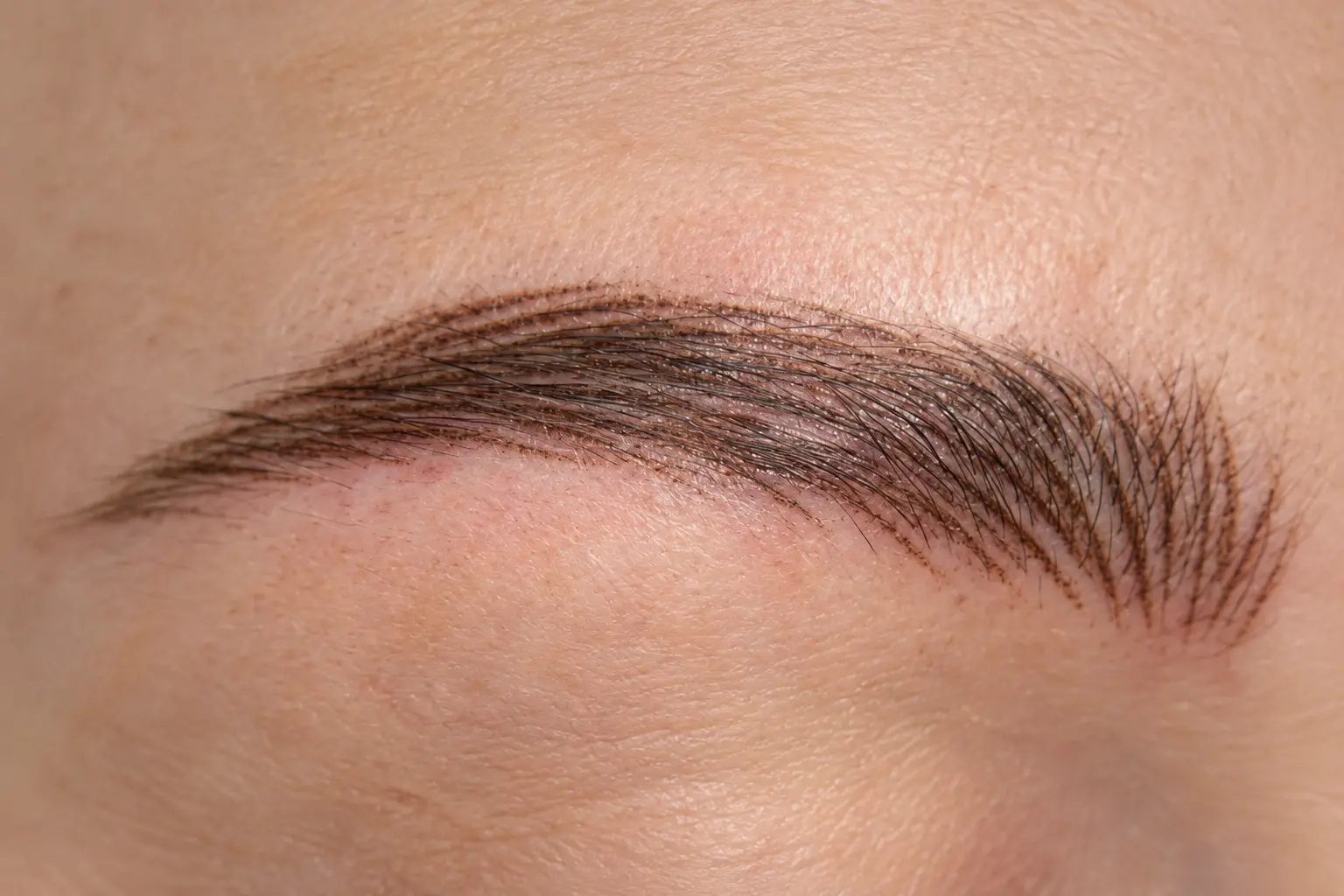 Realistic hairstroke brow permanent makeup healed detail