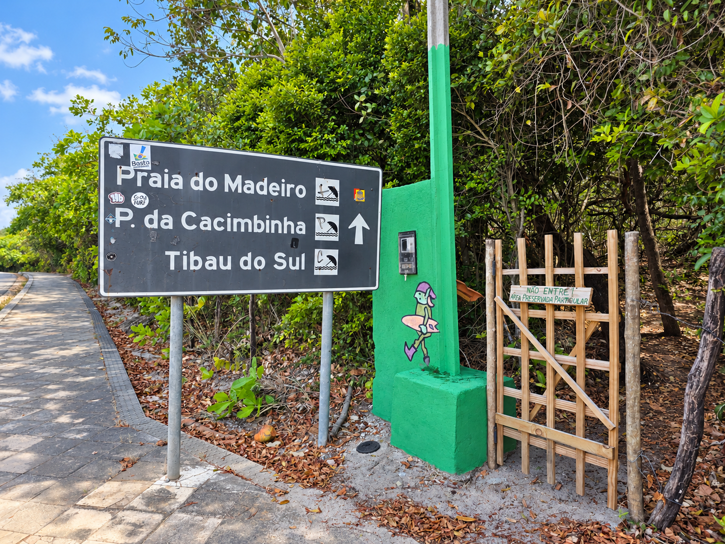 Casa inteira — Biomas da Mata, foto 32