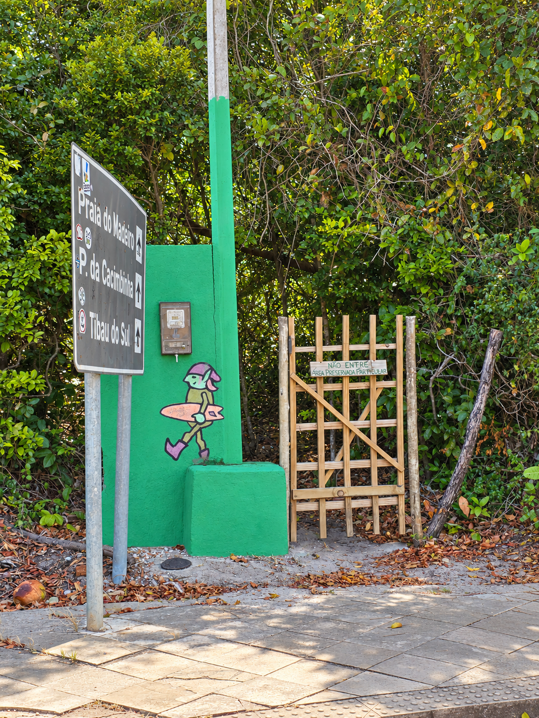 Casa inteira — Biomas da Mata, foto 38