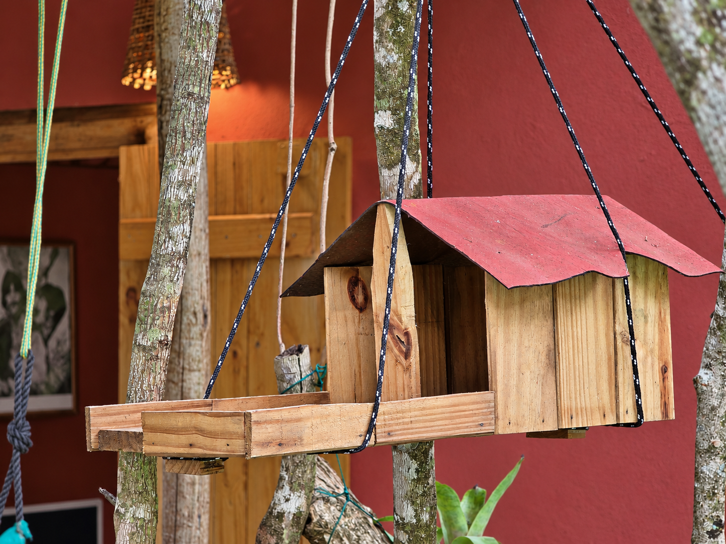 Casa inteira — Biomas da Mata, foto 26