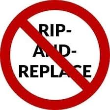 No Rip-Out and Replace — The Mold Assassins
