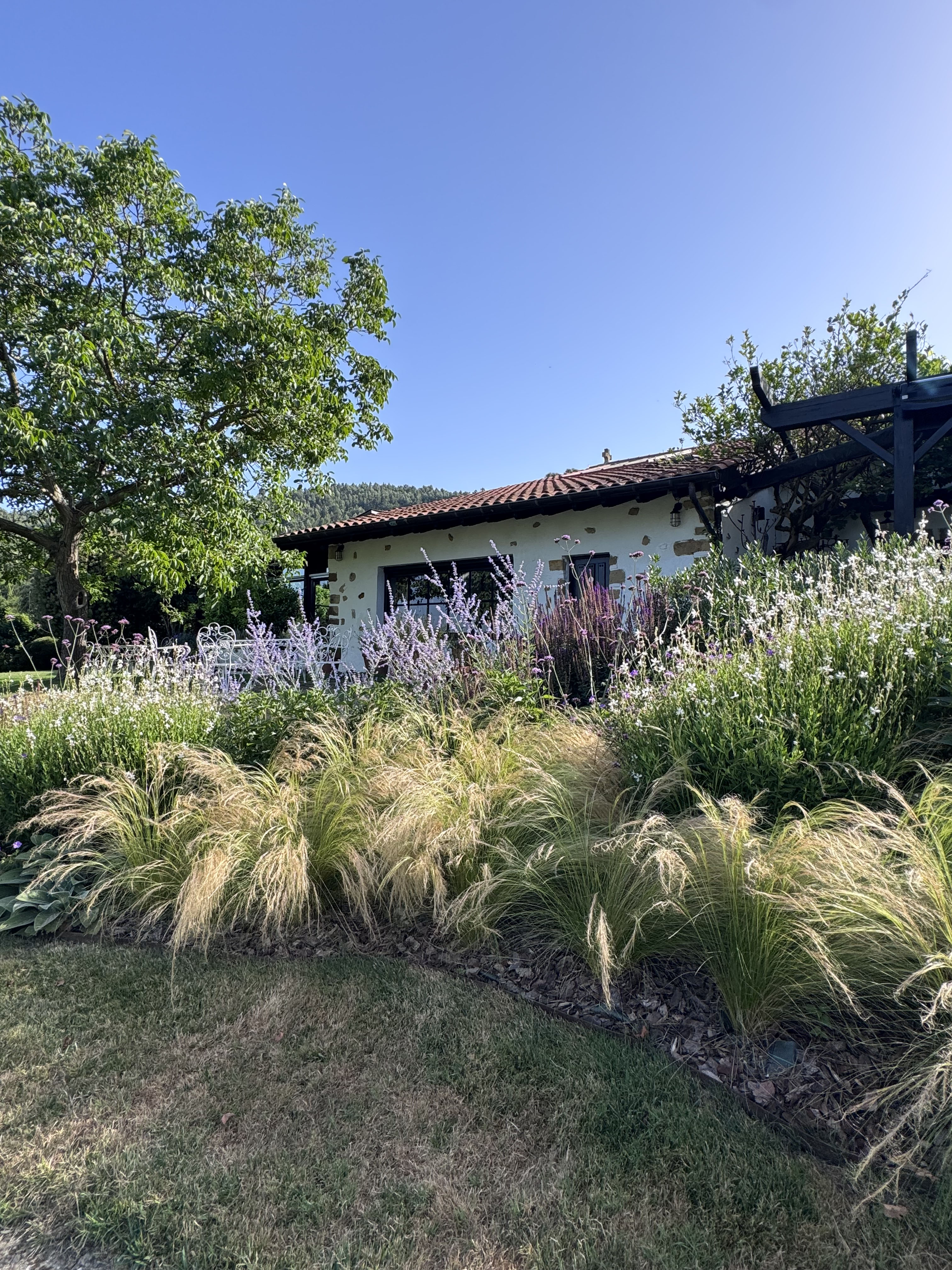 Pradera de vivaces y gramíneas