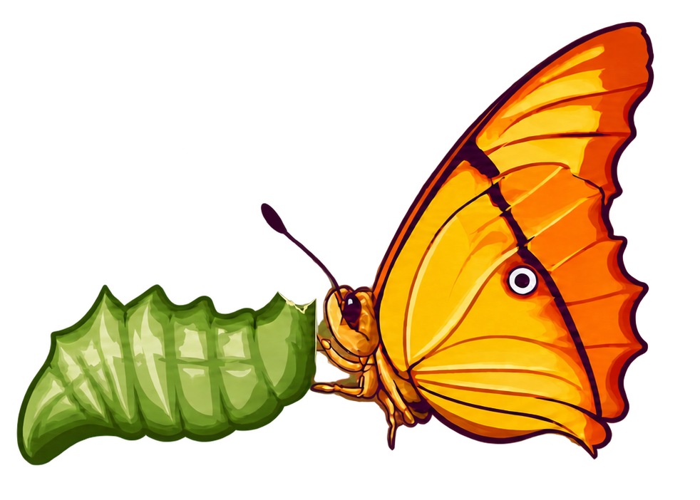 All About Change logo
