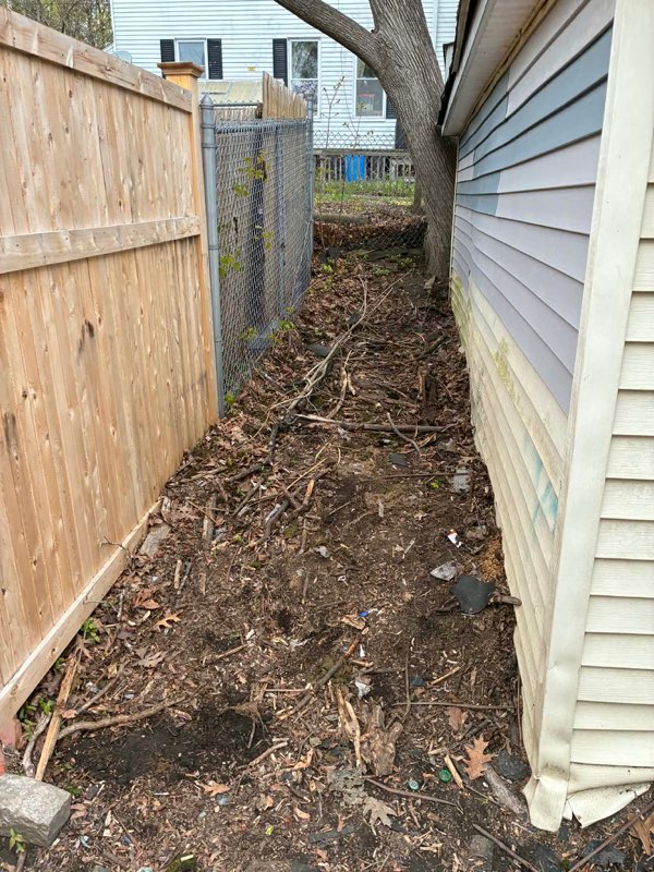 Side yard passage between fence and garage filled with sticks, dead brush and litter before cleanout