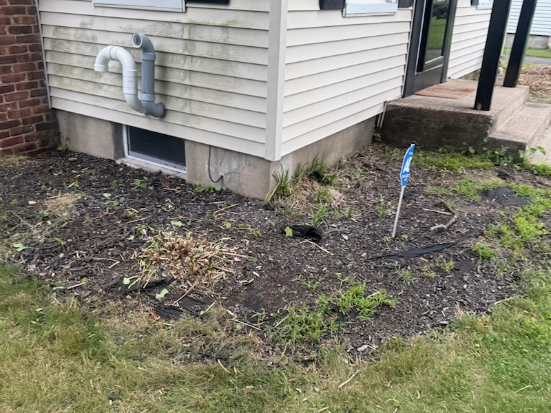 Foundation flowerbed and ground around residential home siding cleared of weeds and debris in Agawam MA