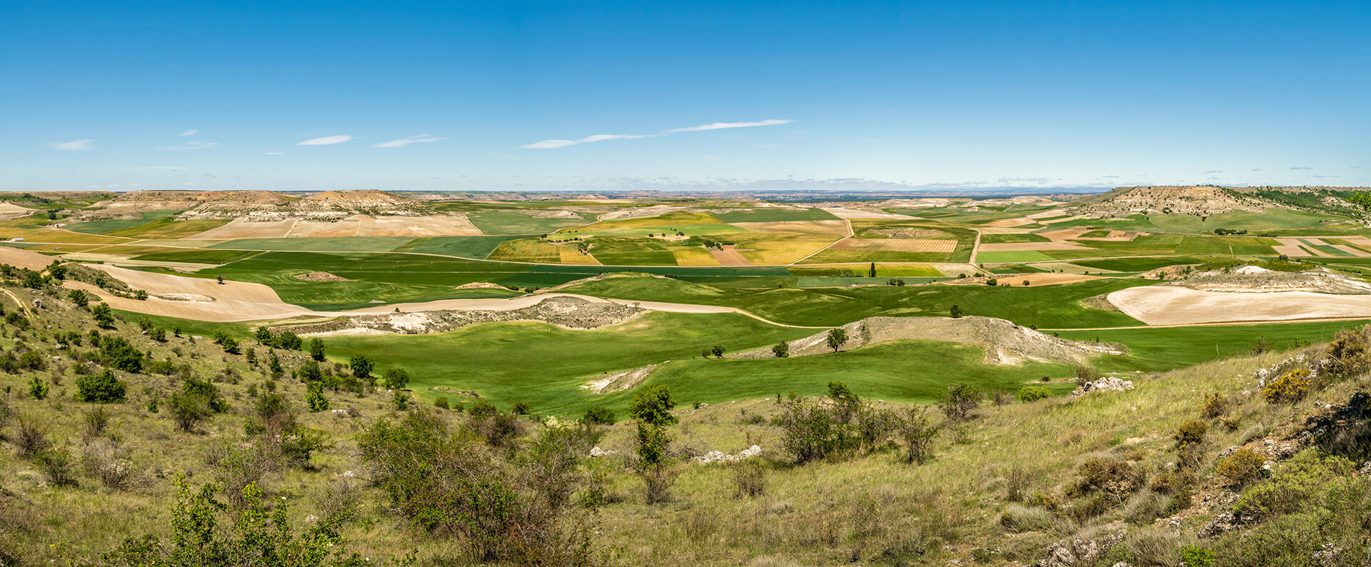 Campos y paisajes abiertos de Castilla y León