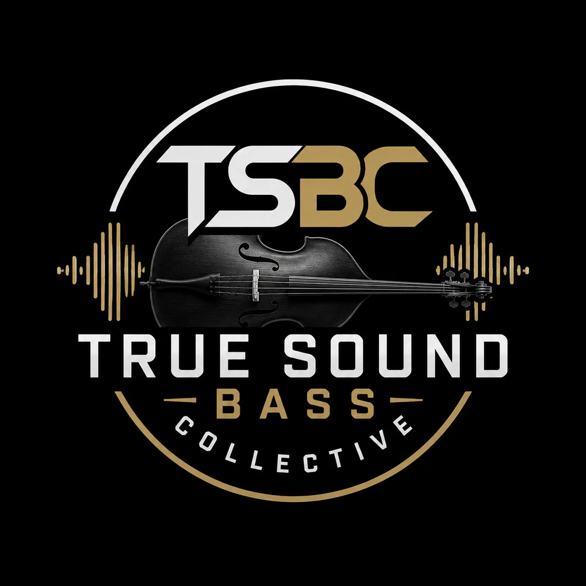 True Sound Bass Collective — David Miller
