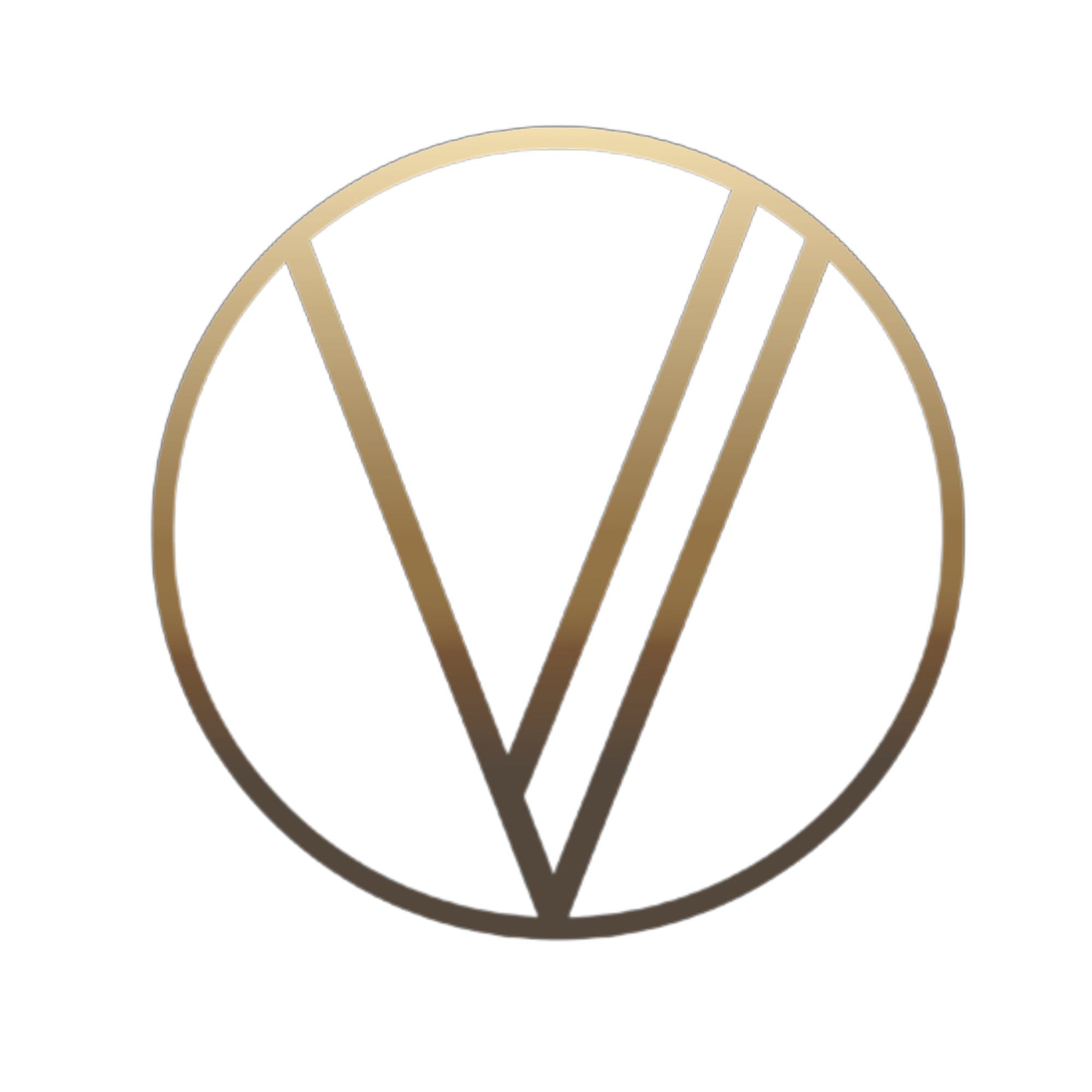 Veravus business strategy and operations consulting emblem
