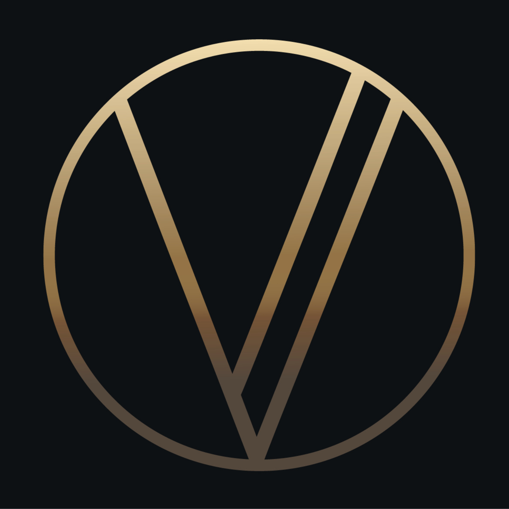 Veravus business consultancy logo