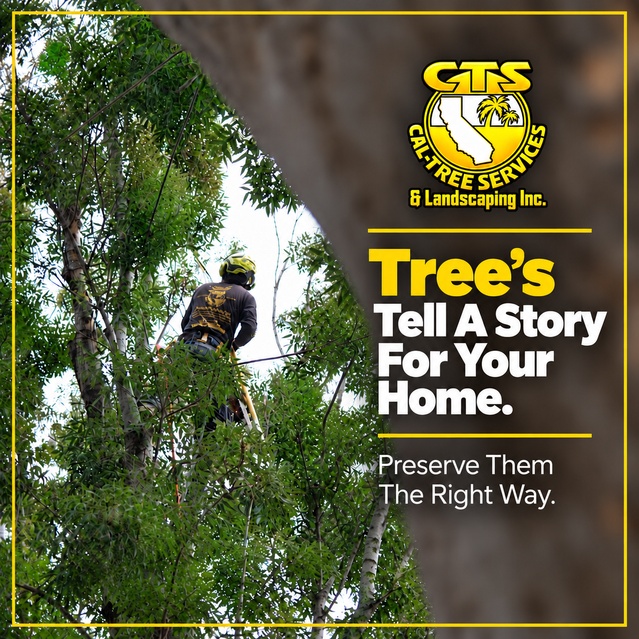 TREES TELL A STORY FOR YOUR HOME.