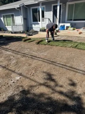 Sod Installation