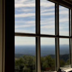 Crystal-clear window cleaning with scenic Upstate SC mountain views