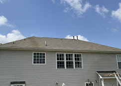 Roof Soft Washing