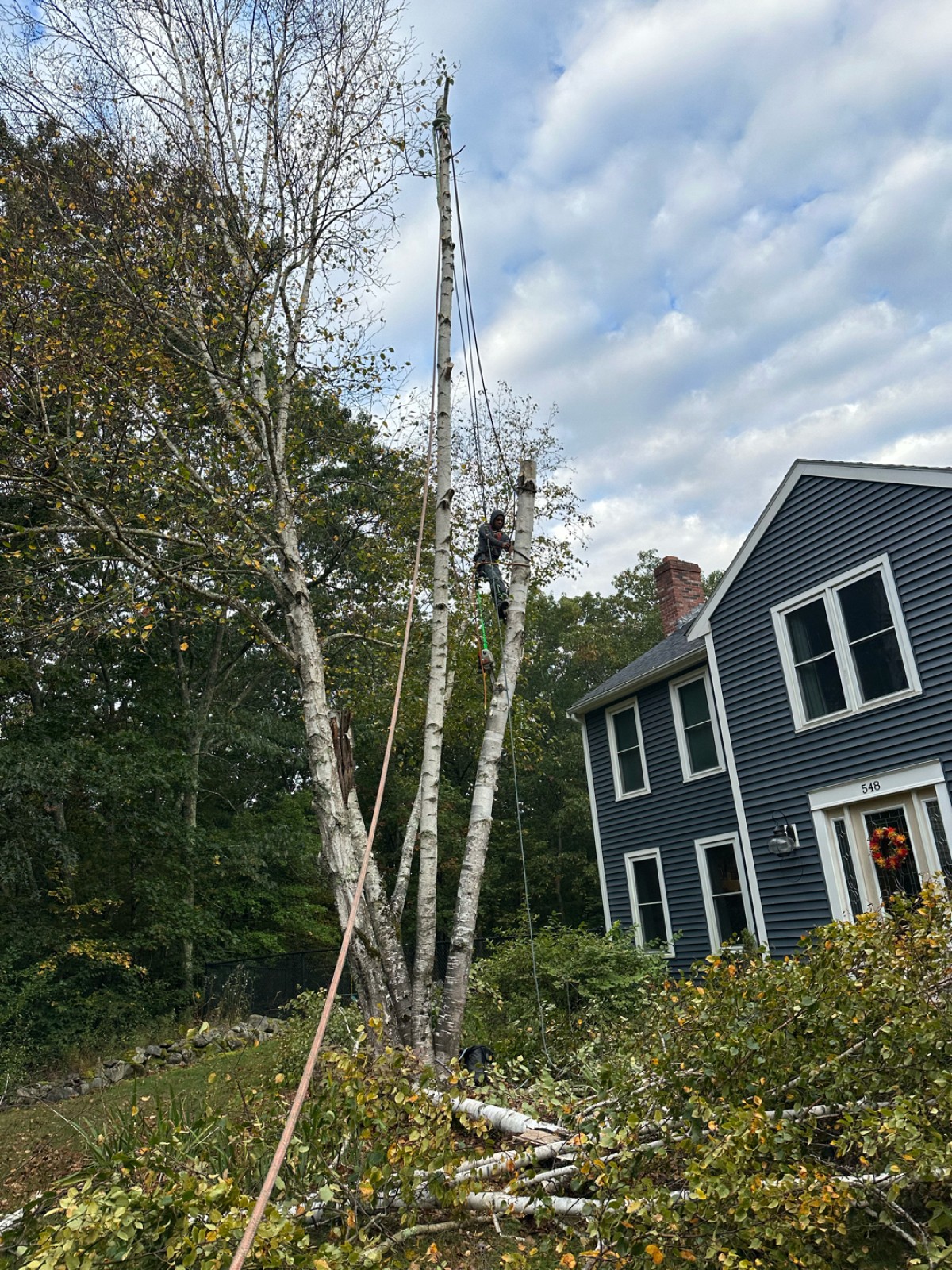 Outdoor Greatness Landscaping project