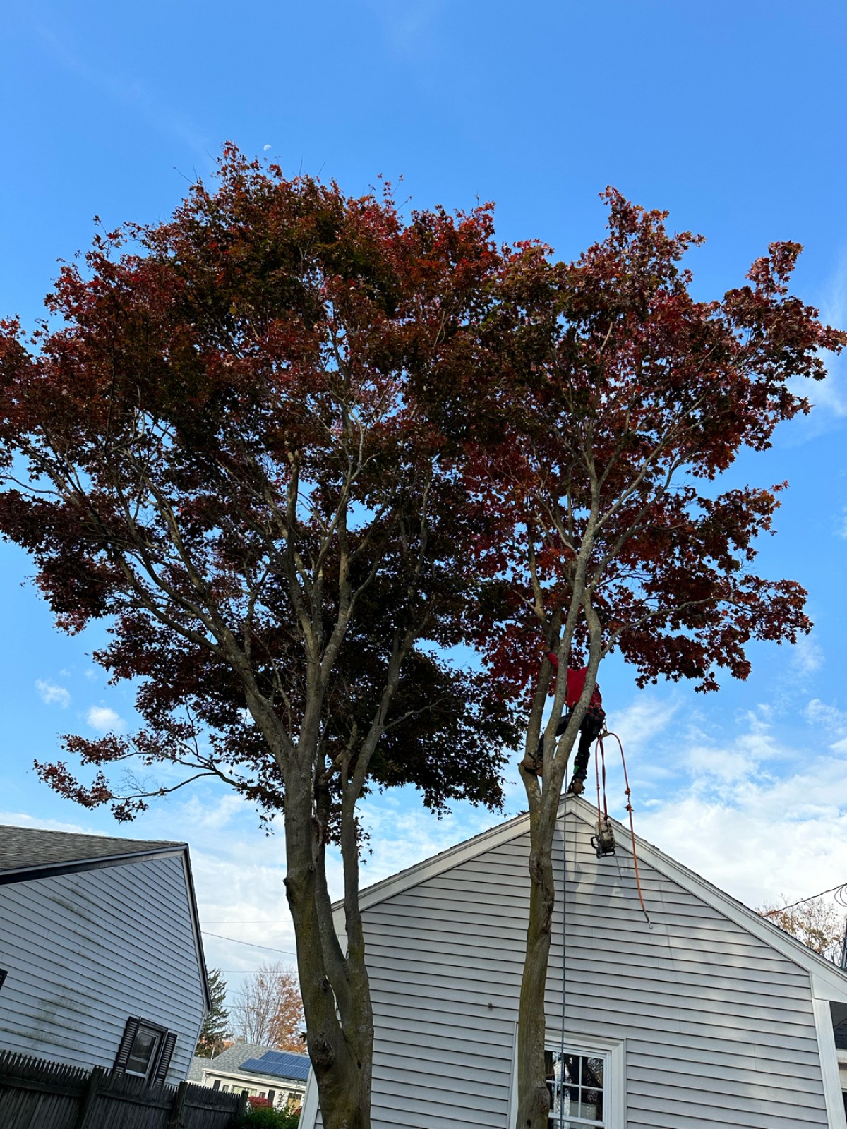 Outdoor Greatness Landscaping project