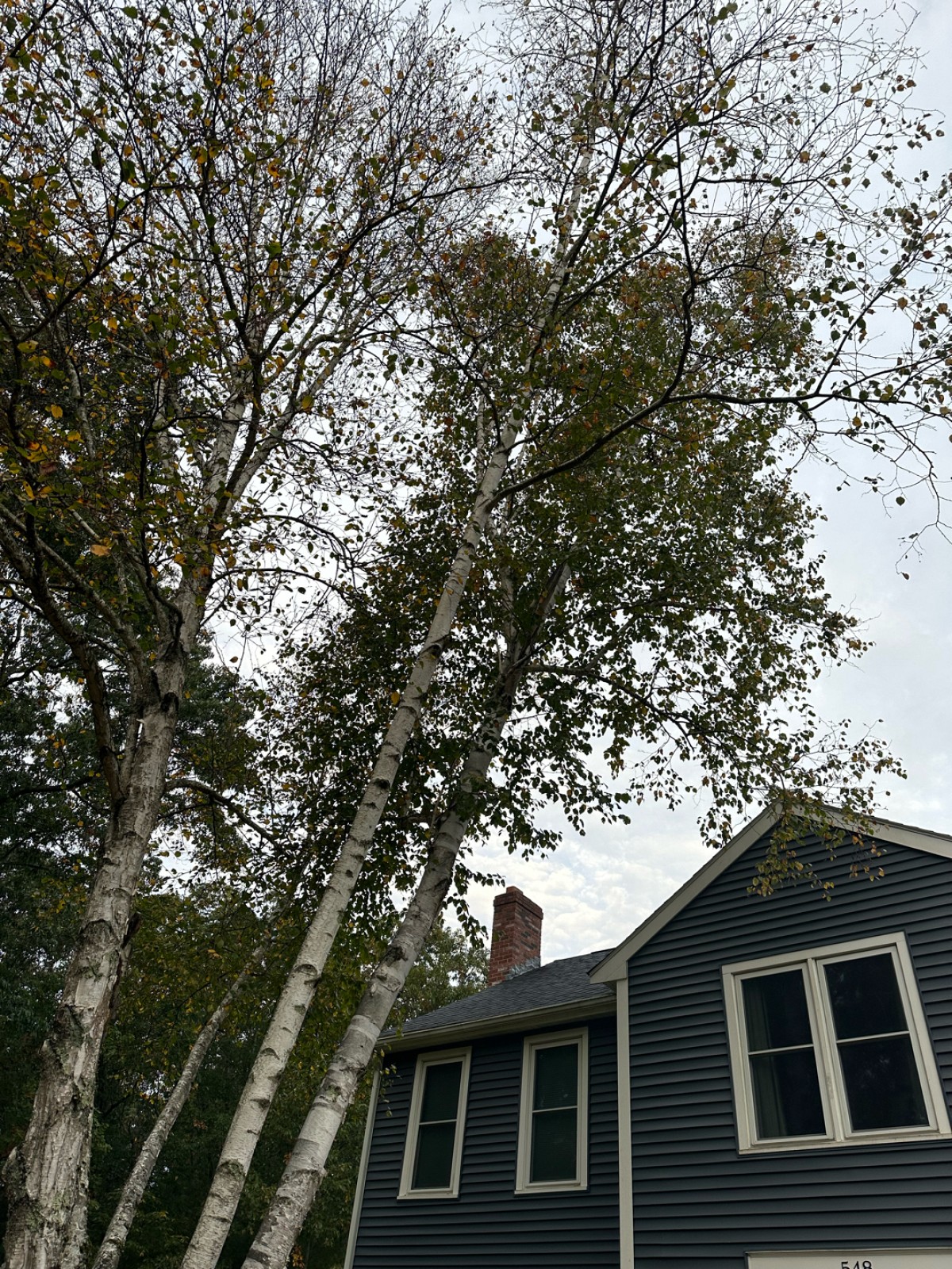 Outdoor Greatness Landscaping project