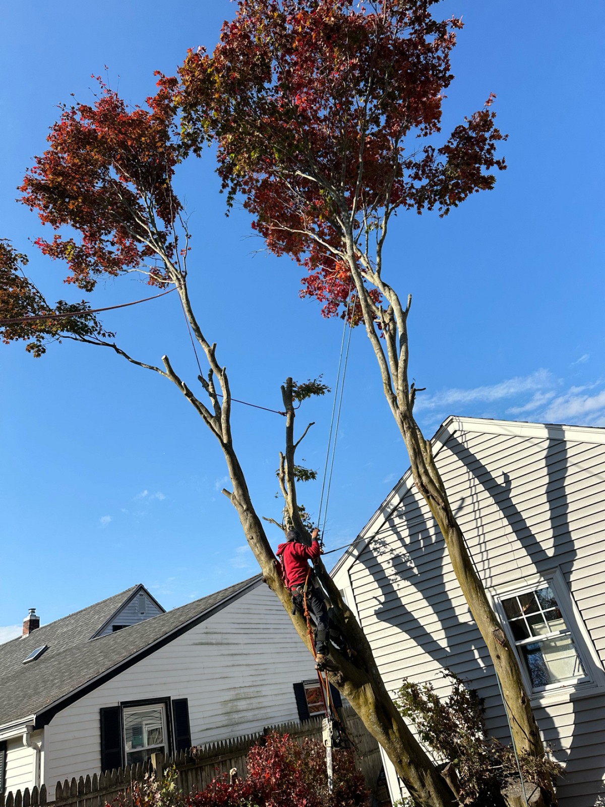 Outdoor Greatness Landscaping project