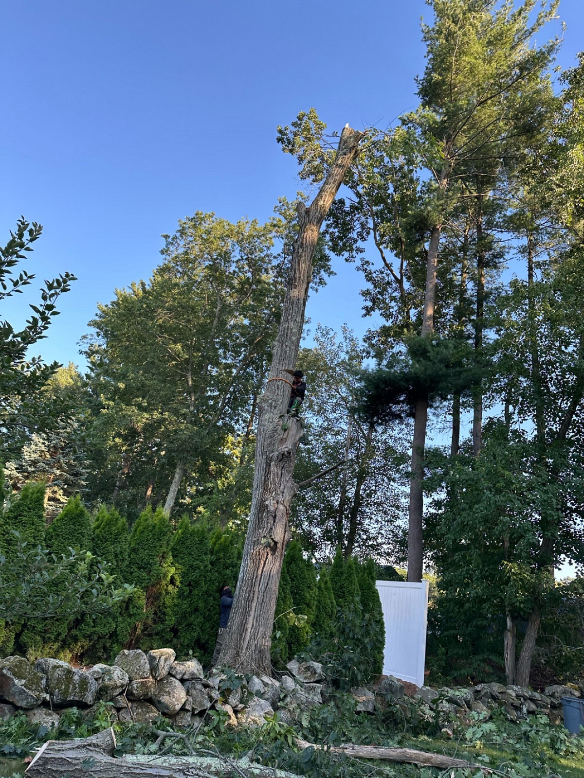 Outdoor Greatness Landscaping project