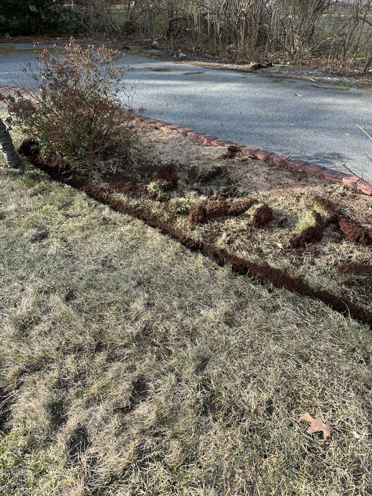 Outdoor Greatness Landscaping project