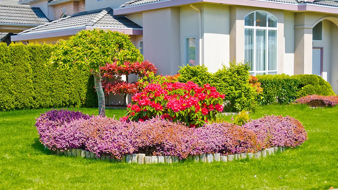 Outdoor Greatness Landscaping project