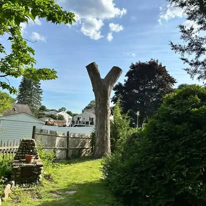 Outdoor Greatness Landscaping project