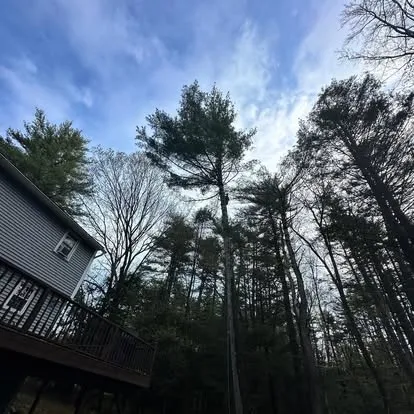 Outdoor Greatness Landscaping project