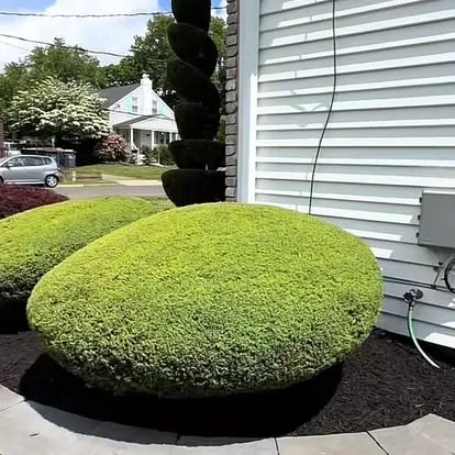 Outdoor Greatness Landscaping project