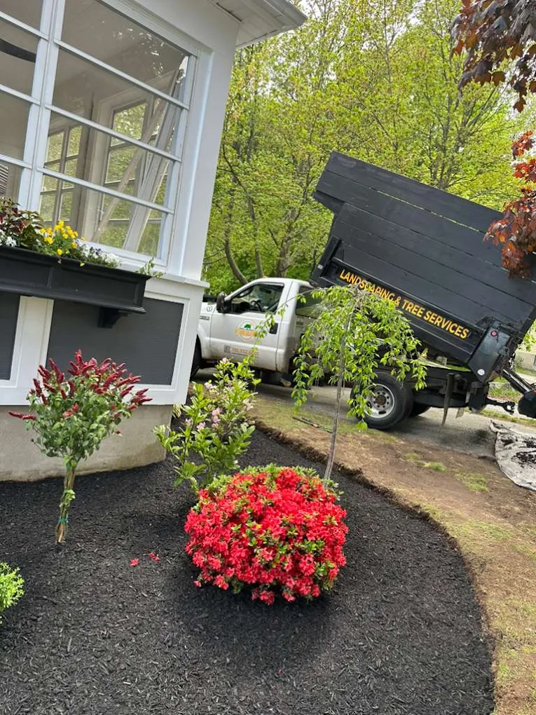 Outdoor Greatness Landscaping project