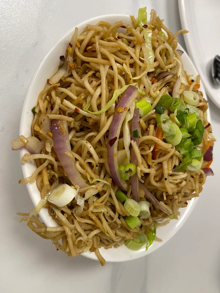 Bowl of savory Veg Hakka Noodles stir-fried with scallions, red onions and fresh cabbage