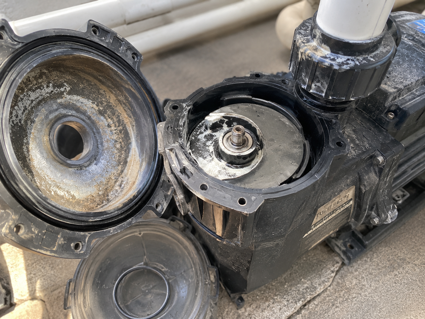 Pool pump opened for mechanical inspection and impeller repair