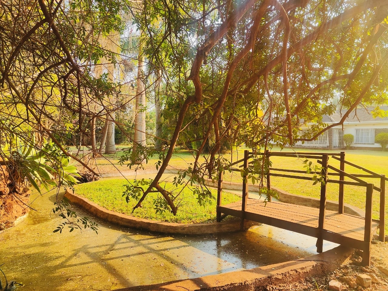 Lower Hampden Park garden pond, footbridge, and grounds