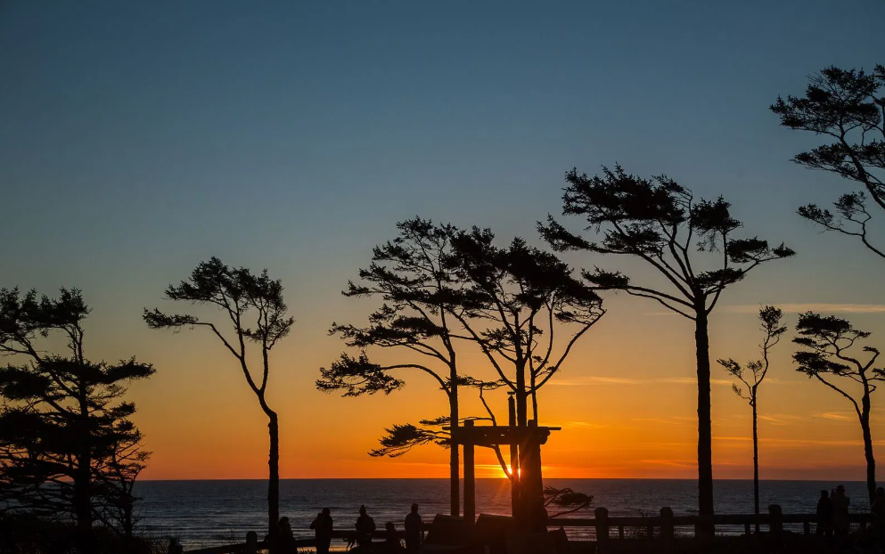 Seabrook Pacific coast sunset silhouette