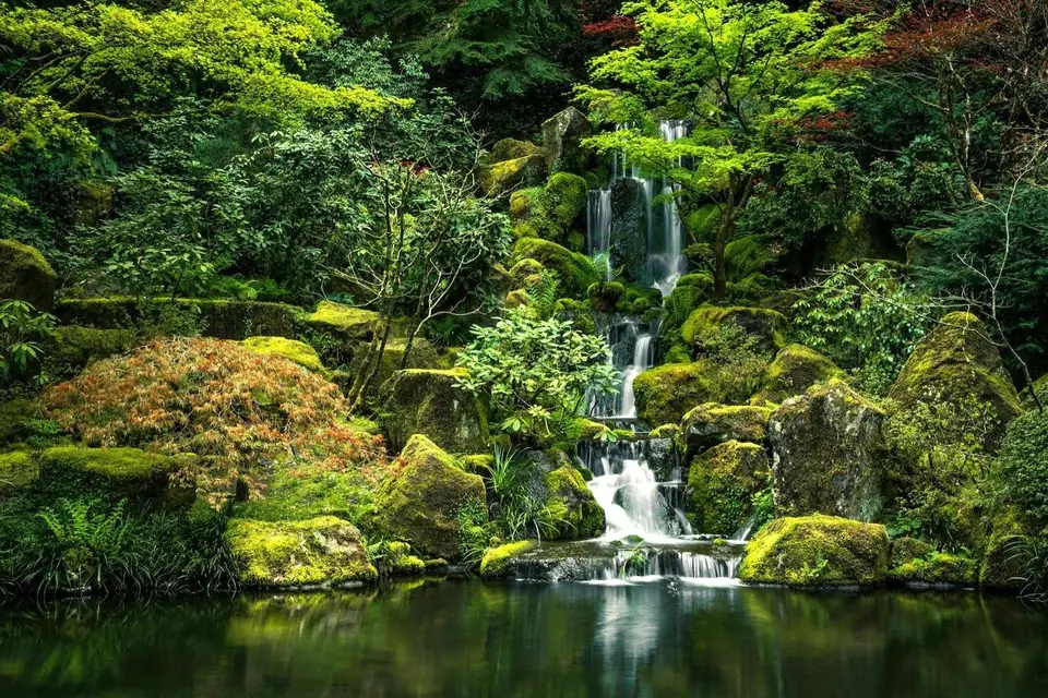 Oregon mossy garden waterfall