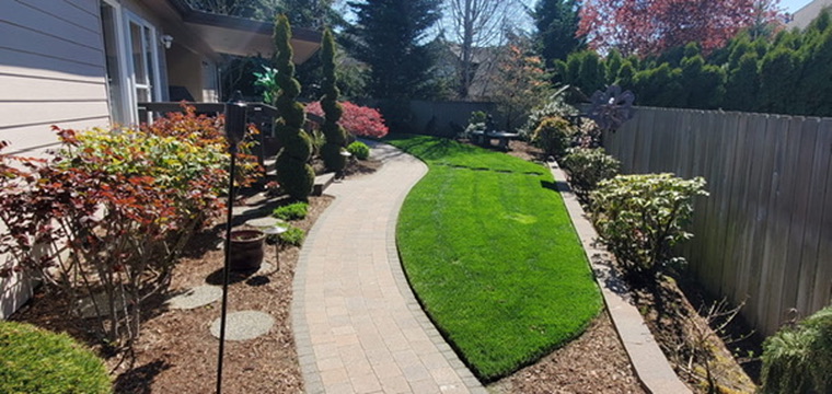 Mirella's landscaping maintenance yard walkthrough and results
