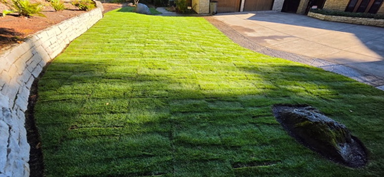 Fresh green sod laid across sloped front lawn bordered by white stone retaining wall