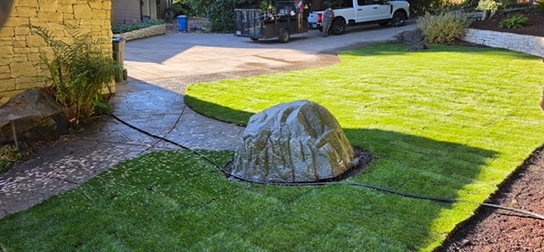 Brand new vibrant green sod cut neatly around landscape boulder and walkway border