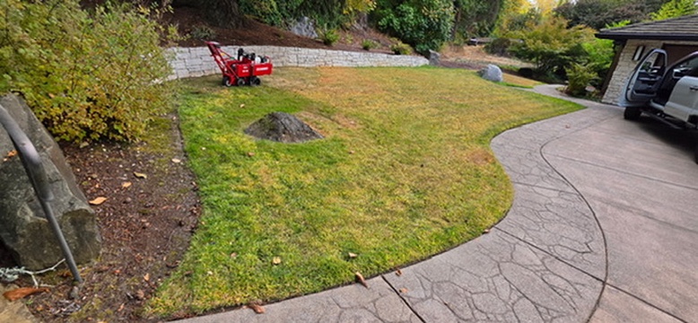 Residential yard prep with sod cutter machine along curved walkway