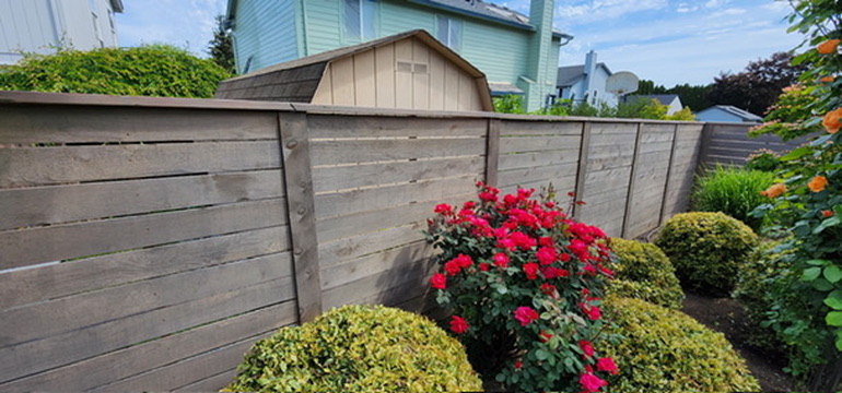 Mirella's horizontal cedar wood privacy fence with rose bushes and manicured shrubs